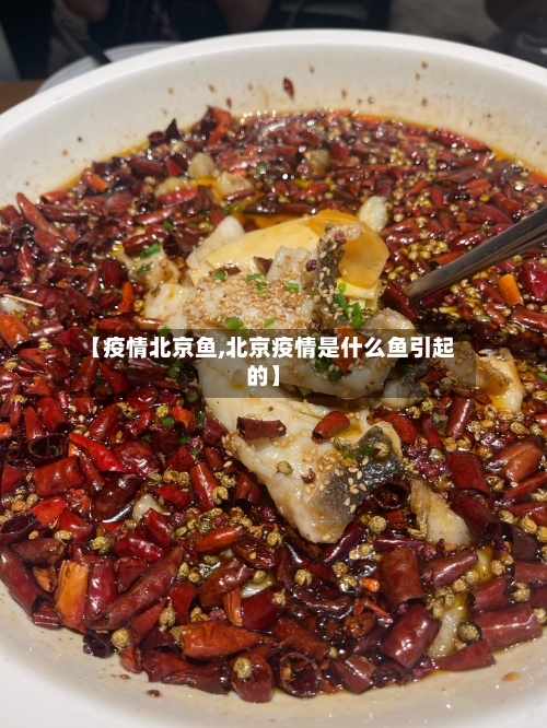 【疫情北京鱼,北京疫情是什么鱼引起的】-第2张图片