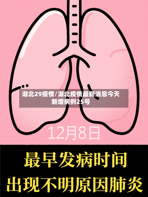 湖北29疫情/湖北疫情最新消息今天新增病例25号-第3张图片