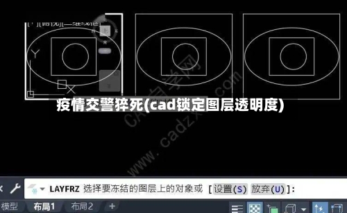 疫情交警猝死(cad锁定图层透明度)-第1张图片