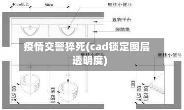 疫情交警猝死(cad锁定图层透明度)-第2张图片