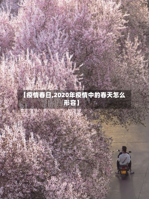 【疫情春日,2020年疫情中的春天怎么形容】-第1张图片