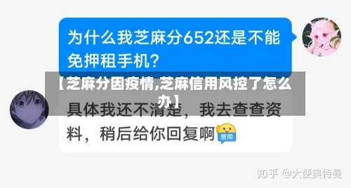 【芝麻分因疫情,芝麻信用风控了怎么办】-第1张图片