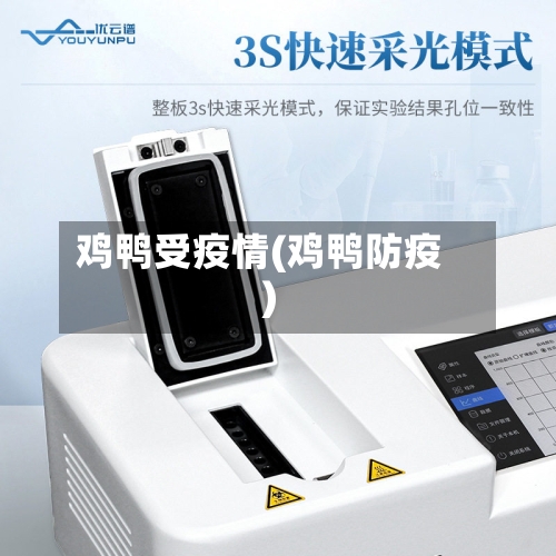 鸡鸭受疫情(鸡鸭防疫)-第1张图片