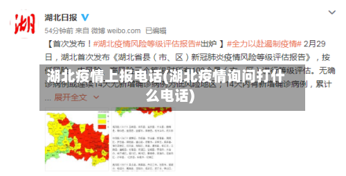 湖北疫情上报电话(湖北疫情询问打什么电话)-第2张图片