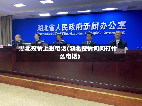 湖北疫情上报电话(湖北疫情询问打什么电话)-第3张图片