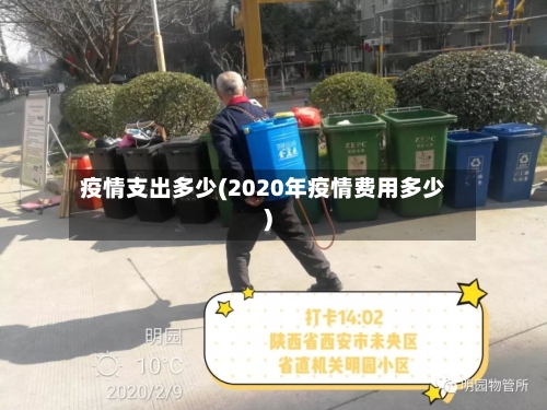 疫情支出多少(2020年疫情费用多少)-第3张图片