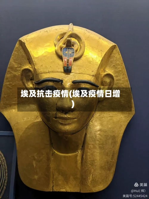 埃及抗击疫情(埃及疫情日增)-第1张图片