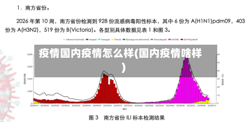 疫情国内疫情怎么样(国内疫情啥样)-第1张图片