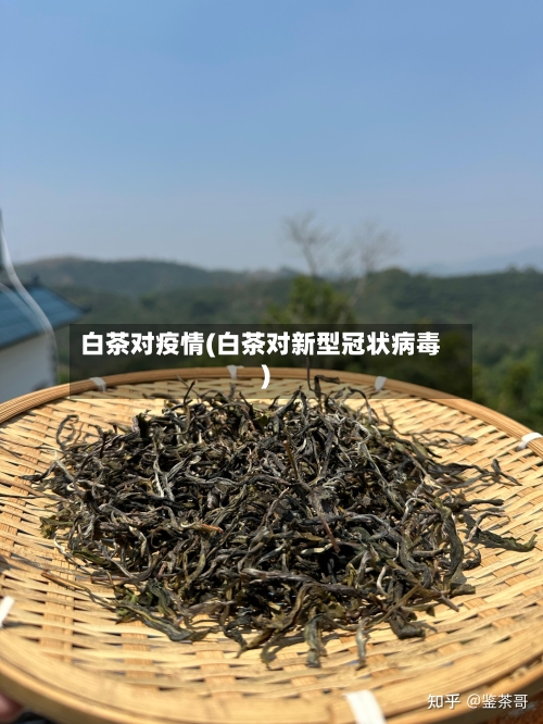 白茶对疫情(白茶对新型冠状病毒)-第2张图片