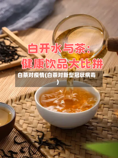 白茶对疫情(白茶对新型冠状病毒)-第1张图片