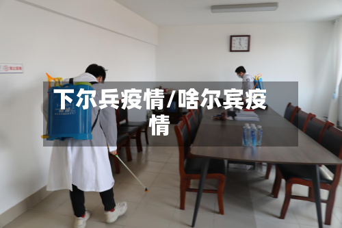 下尔兵疫情/啥尔宾疫情-第3张图片