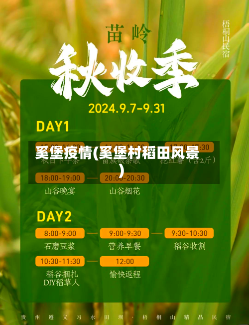 奚堡疫情(奚堡村稻田风景)-第1张图片