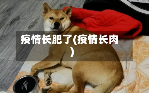 疫情长肥了(疫情长肉)-第1张图片