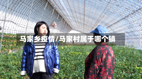 马家乡疫情/马家村属于哪个镇-第2张图片