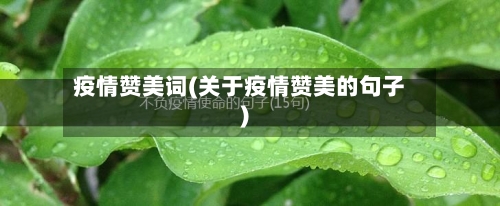 疫情赞美词(关于疫情赞美的句子)-第2张图片