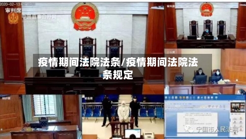 疫情期间法院法条/疫情期间法院法条规定-第2张图片
